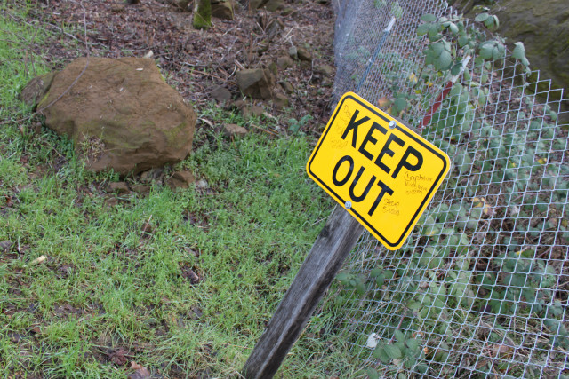 Yellow keepout sign fenced hill free wallpaper for desktop - medium preview image