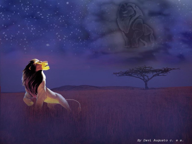Lion field tree night sky free wallpaper for desktop - medium preview image
