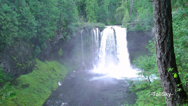 Waterfall forest nature scenery water free wallpaper for desktop - medium preview image