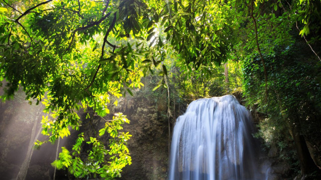 Waterfall forest sunlight trees leaves free wallpaper for desktop - medium preview image