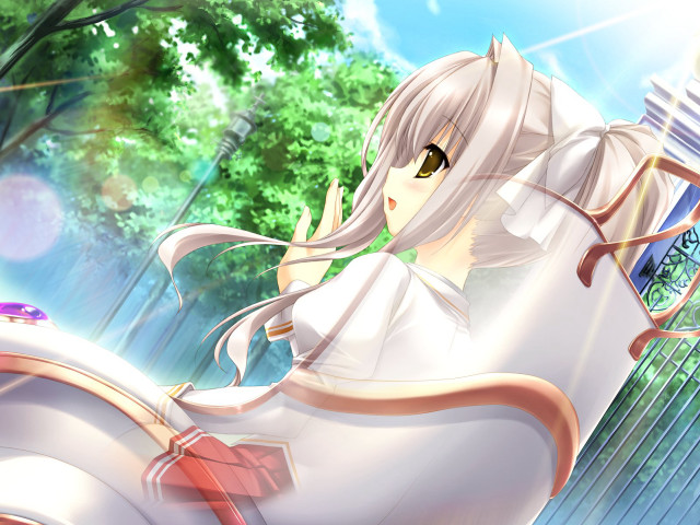 Woman sitting chair suitcase tree free wallpaper for desktop - medium preview image