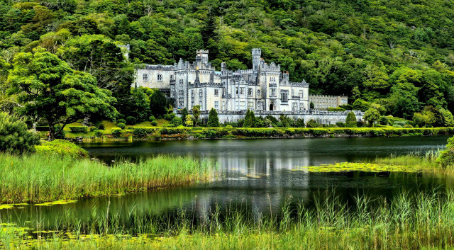 Castle hillside lake forest gothic free wallpaper for desktop - medium preview image