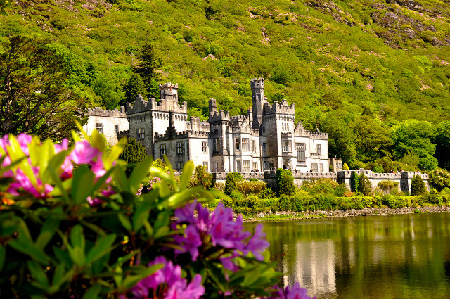 Castle lake green hillside flowers free wallpaper for desktop - medium preview image