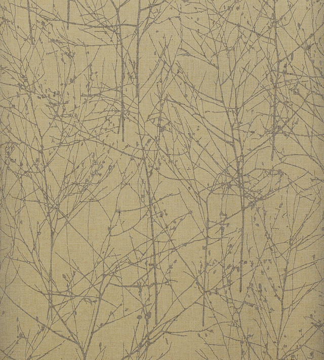 Bare tree bamboo forest honeycomb free wallpaper for tablet - medium preview image