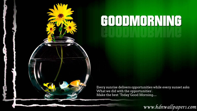Vase flowers good morning quote free wallpaper for desktop - medium preview image