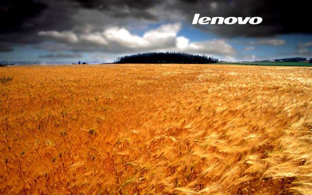 Wheat field cloudy sky lenovo #2 free wallpaper for desktop - medium preview image