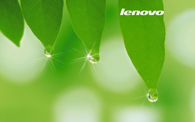 Green leaf lenovo water drop free wallpaper for desktop - medium preview image