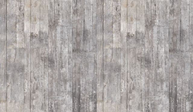 Grey wall wooden plank cat free wallpaper for desktop - medium preview image