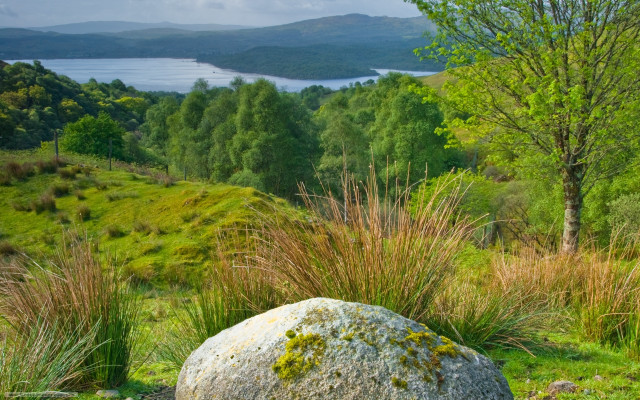 Large rock lush green field free wallpaper for desktop - medium preview image
