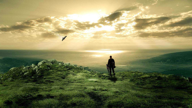 Man hill ocean bird flying free wallpaper for desktop - medium preview image