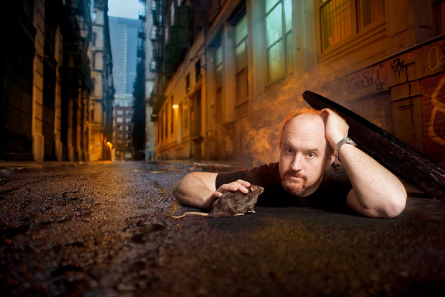 Man rat ground graffiti building free wallpaper for desktop - medium preview image