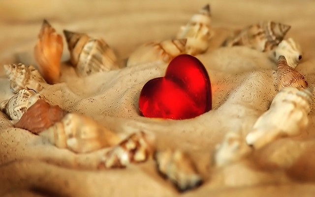Heart shaped object sand shells free wallpaper for desktop - medium preview image