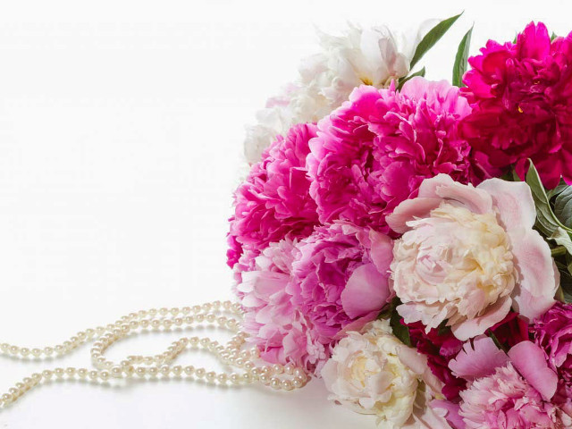 Bouquet flowers pearls white background free wallpaper for desktop - medium preview image