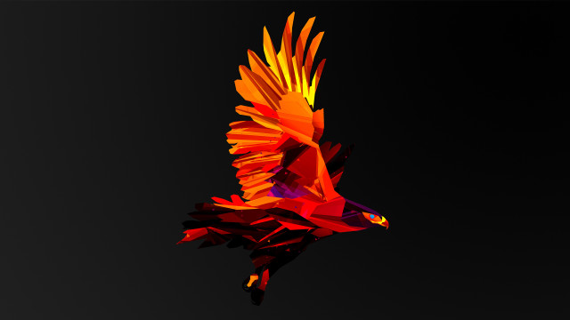Colorful bird flying air black free wallpaper for desktop - medium preview image