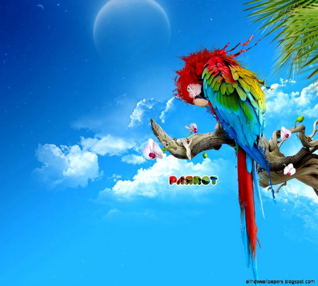 Colorful parrot perched branch tree free wallpaper for tablet - medium preview image