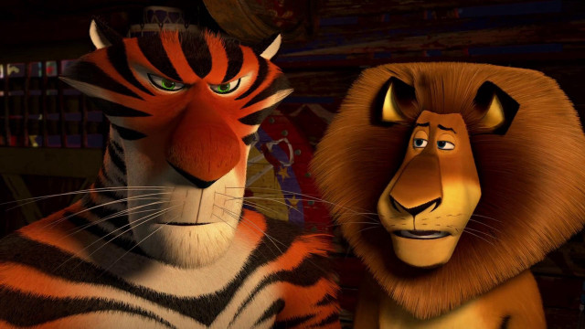 Close up animals room bookshelves free wallpaper for desktop - medium preview image