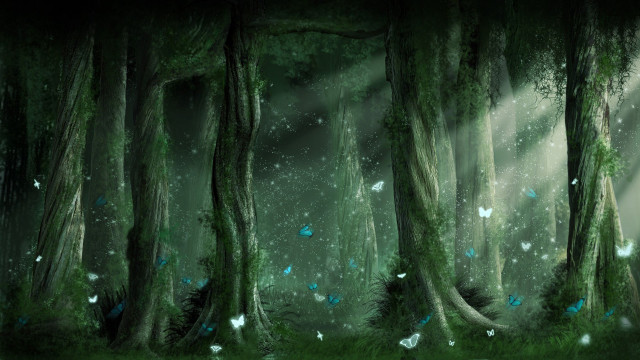 Forest butterflies light trees painting free wallpaper for desktop - medium preview image