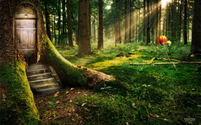 Door woods mossy tree stairs free wallpaper for desktop - medium preview image