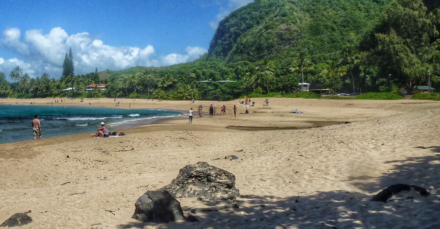 Beach people mountain trees water free wallpaper for desktop - medium preview image