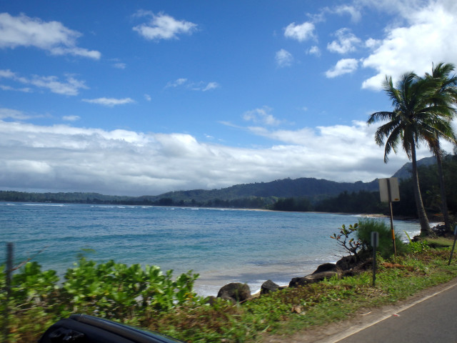 Car beach ocean palm trees free wallpaper for desktop - medium preview image
