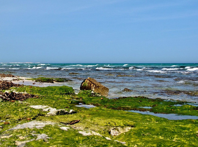 Rocky shore blue sky lone free wallpaper for desktop - medium preview image
