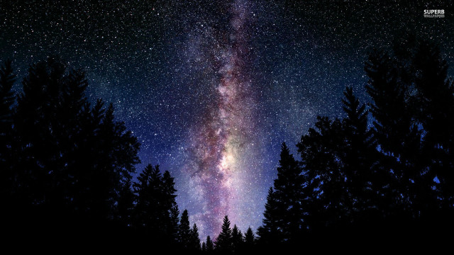 Night sky stars trees foreground free wallpaper for desktop - medium preview image