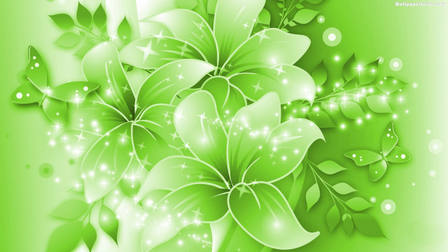 Green background white flowers leaves free wallpaper for desktop - medium preview image
