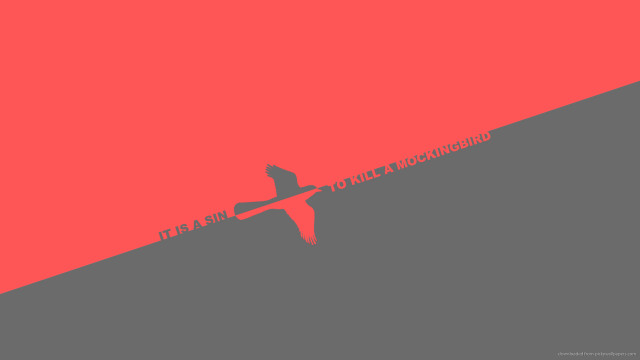 Surfboard person red gray sun free wallpaper for desktop - medium preview image