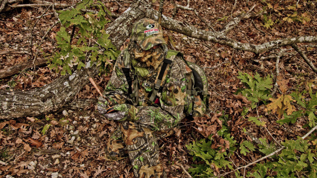 Camouflaged man woods frisbee tree free wallpaper for desktop - medium preview image