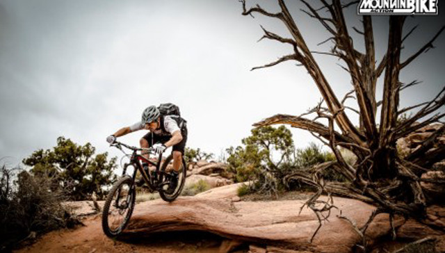 Man bike dirt road tree free wallpaper for desktop - medium preview image