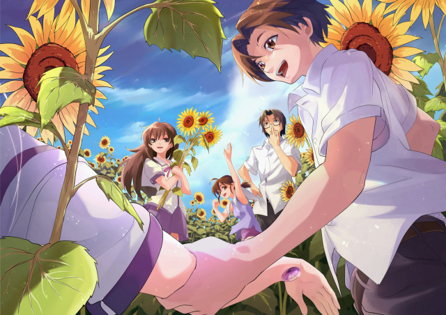 Sunflower field group people man free wallpaper for desktop - medium preview image