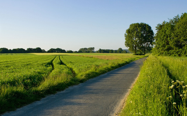 Road grass field trees distance free wallpaper for desktop - medium preview image