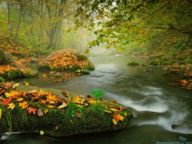 Autumn forest stream leaves rocks #2 free wallpaper for desktop - medium preview image