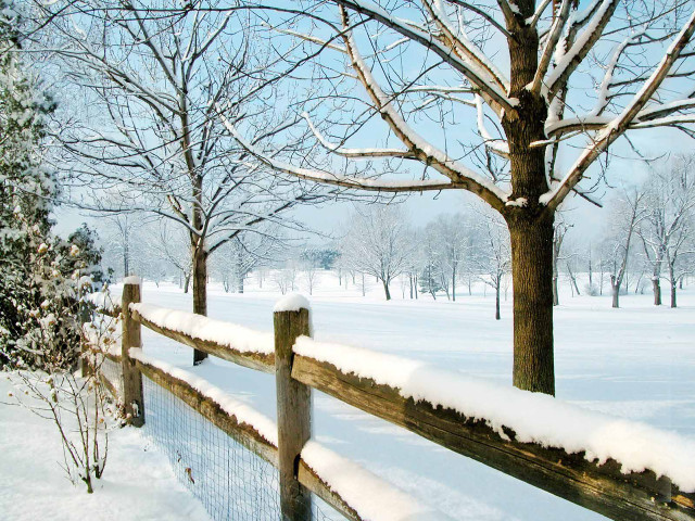Fence snow tree background snow free wallpaper for desktop - medium preview image