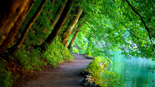 Path bench river trees sunlight free wallpaper for desktop - medium preview image