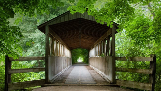 Wooden bridge walkway tunnel trees free wallpaper for desktop - medium preview image