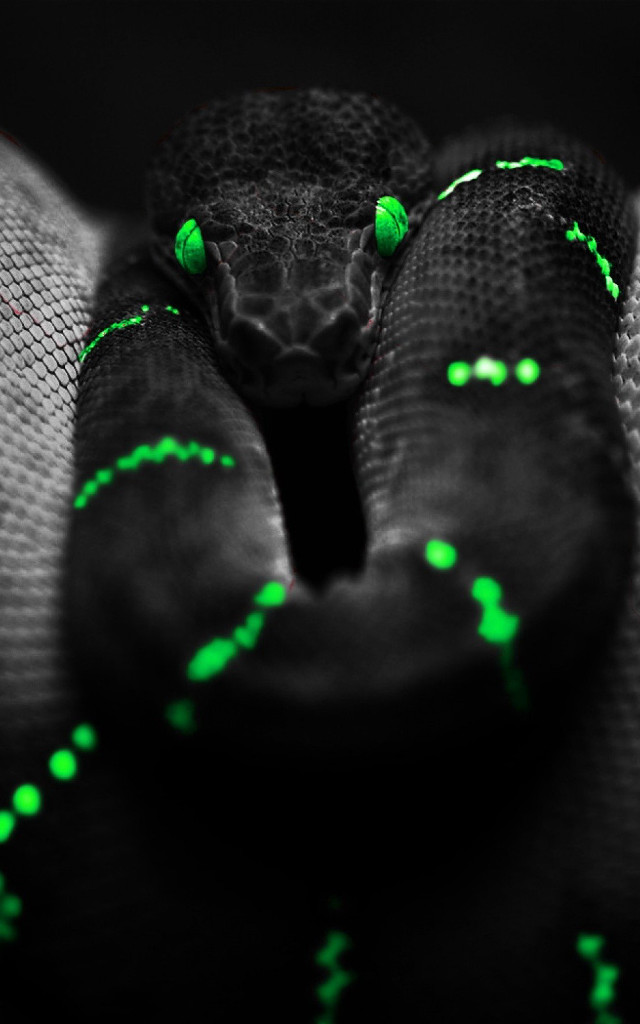 Snake green lights head neck free wallpaper for mobile - medium preview image