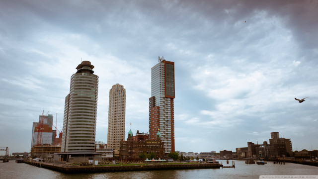 City tall buildings water bird free wallpaper for desktop - medium preview image