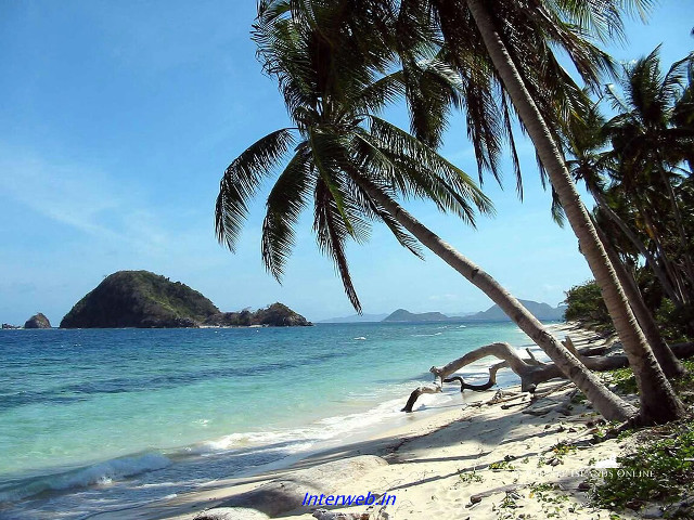 Beach boat palm trees mountain #2 free wallpaper for desktop - medium preview image