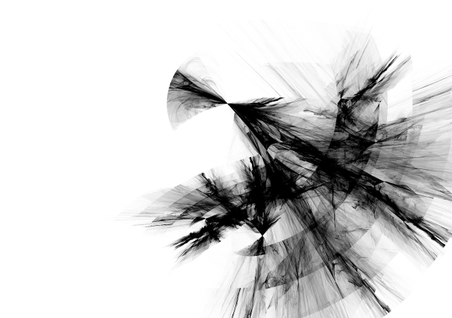 Black white bird flying air free wallpaper for desktop - medium preview image