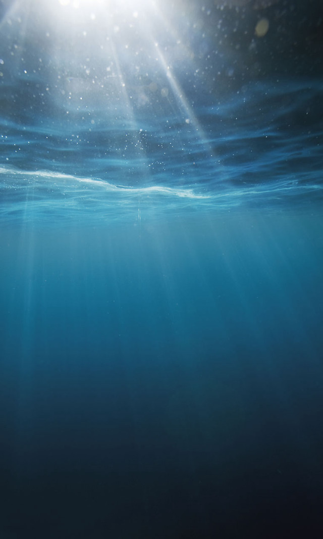 Bright sun ocean water surface free wallpaper for mobile - medium preview image