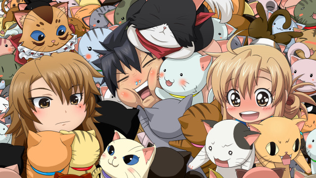 Girl cats crowd around group free wallpaper for desktop - medium preview image
