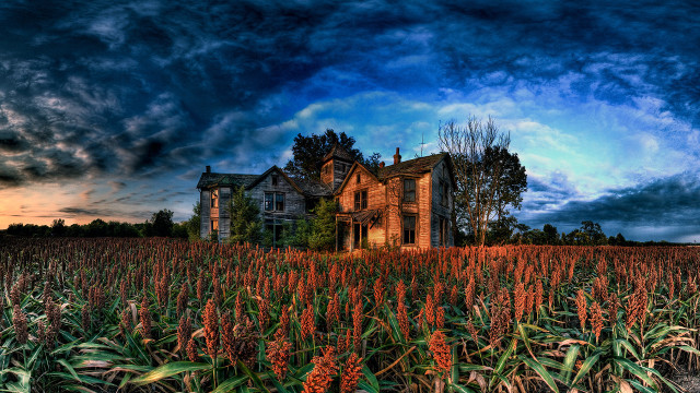 Large house cornfield cloudy sky #2 free wallpaper for desktop - medium preview image