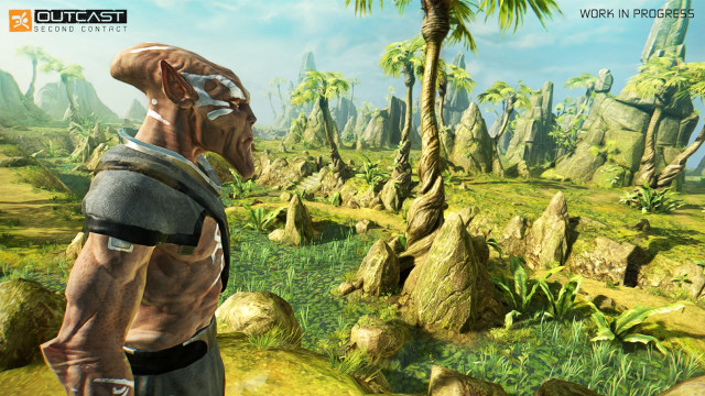 Man palm tree jungle field free wallpaper for desktop - medium preview image