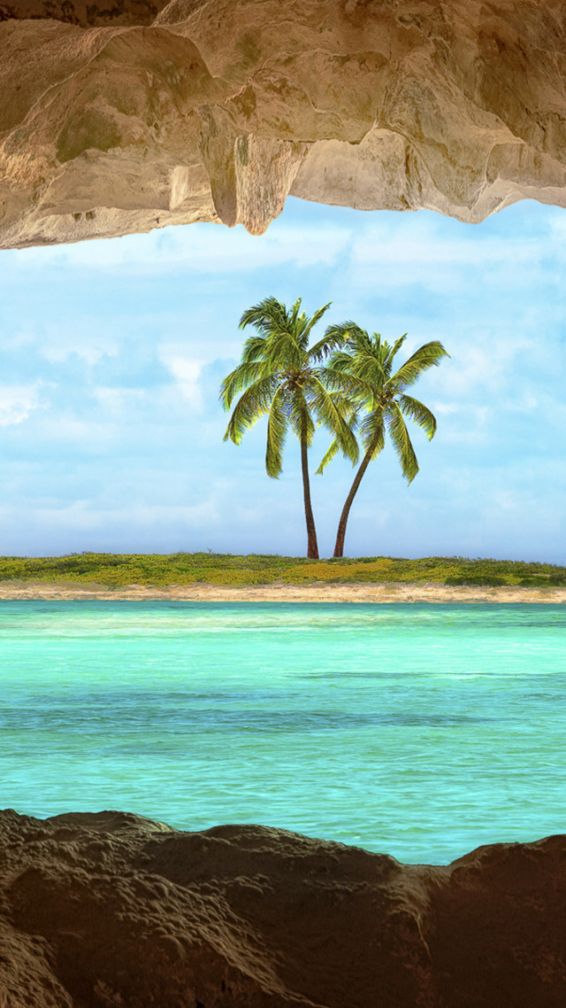 Palm tree water beach rock free wallpaper for mobile - medium preview image