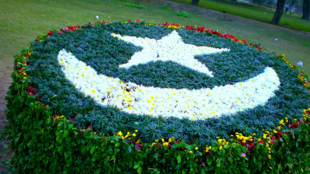 Circular flower bed star smiley free wallpaper for desktop - medium preview image