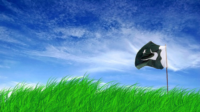 Flag flying green field blue free wallpaper for desktop - medium preview image