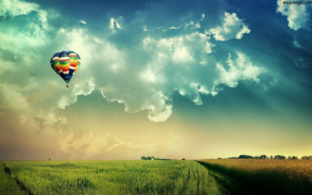 Hot air balloon over lush #2 free wallpaper for desktop - medium preview image