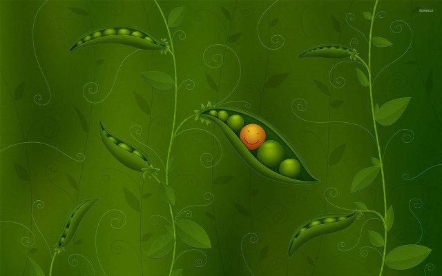 Green background pea pod ball free wallpaper for desktop - medium preview image