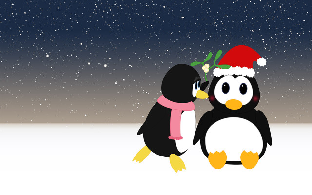 Penguin santa hat scarf snow free wallpaper for desktop - medium preview image